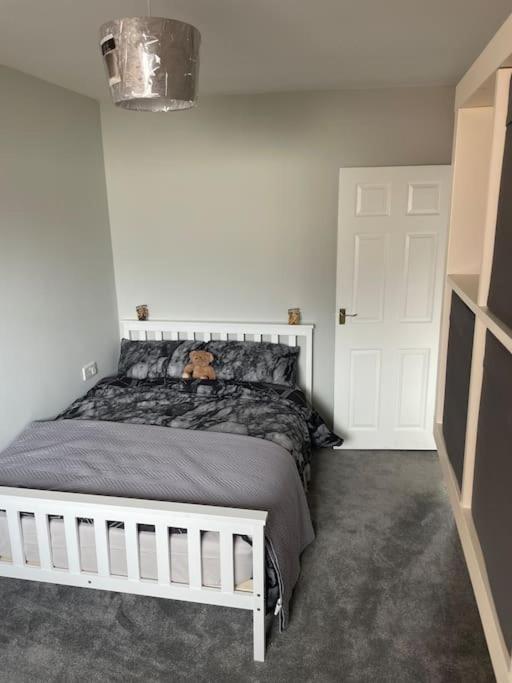 Fantastic Full 3 Bedroom Modern Apartment Belfast Exteriér fotografie